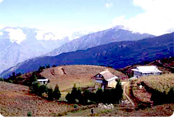 Milke Danda Trekking 