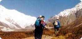 Sikkim Green Lake trekking